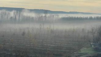 Dicle Vadisi'nde sis manzarası