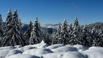 Ordu'da 2 bin rakımlı yaylada kar manzarası