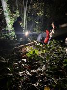 Engebeli arazide düşerek yaralanan orman işçisini ekipler kurtardı