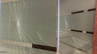 Ağabeyi ceza aldı, karar sonrası mahkeme salonunun camına yumruk attı