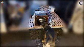 Batman’da hoparlöre zulalanmış 3 kilo metamfetamin ele geçirildi