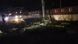 Devrilen ağaç 2 mahalleyi elektriksiz bıraktı