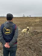 Nevşehir’de köpek dövüştüren 19 kişi yakalandı