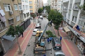 Akdeniz’de ağaçlara kış bakımı