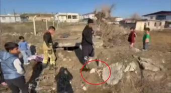 Diyarbakır’da kuyuya düşen yavru köpekleri itfaiye kurtardı