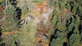 Dron ve fotokapan destekli doğa koruma denetimi; 4 kişiye işlem yapıldı