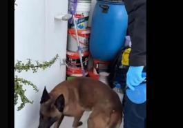 Aydın’da silah ve uyuşturucu operasyonu: 2 gözaltı