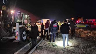 Malatya'da milyonluk yarış tayları çiftlikten kaçtı; 8'i öldü, bazıları kayıp