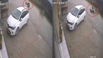 Motokurye, kendisine saldıran sokak köpeğinden kaçarken kaza yaptı