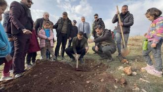 Midyat’ta, etkinlikte 500 fidan dikildi