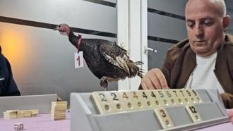 48 yıllık gelenek bozulmadı: Amatör futbol kulübünden ‘baba hindi’ ödüllü okey turnuvası