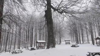 Kuzuyayla Tabiat Parkı’nda kar manzarası