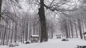 Kuzuyayla Tabiat Parkı’nda kar manzarası
