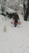 Yolu kar nedeniyle kapanan köyüne ekmek taşıdı