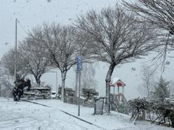 Ordu’nun seyir terası Boztepe beyaza büründü
