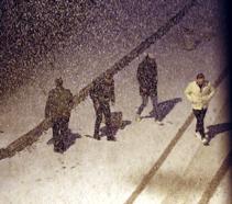 Van'da kar yağışı etkili oldu