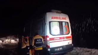 Diyarbakır’ın 4 ilçesinde kar yağışı etkili oldu