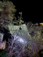 Mersin'de şiddetli rüzgar nedeniyle asırlık meşe devrildi, evin çatısı uçtu