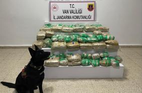 Van'da arazide 51 kilo skunk ele geçirildi