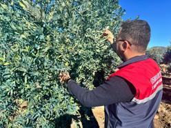 Don sonrası saha kontrolü