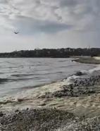 İstanbul- İSKİ'nin arıtma tesisinden bırakılan suyla denizin rengi değişti