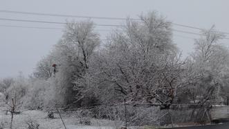 Gercüş’te kar yağışı etkili oldu
