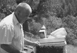 Kestiği ağacın altında kalıp öldü