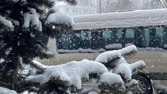 Doğu buz kesti: Kemaliye'deki taş yolda buz sarkıtları oluştu / Ek fotoğraflar
