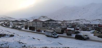 Oltu Canlı Hayvan Pazarı, eksi 15 derecede kapılarını açtı