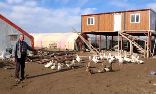 3 asırdır köylerinde kaz yetiştiriyorlar