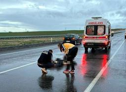 Edirne'de otomobilin çarptığı yaya öldü