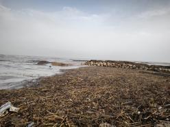 Mersin'de sağanak; dereler taştı, yolları su bastı (3)