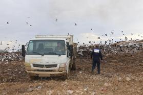 Van'da son kullanma tarihi geçmiş 1 ton gıda imha edildi