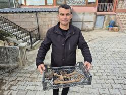 Eğirdir Gölü'nün suyu çekilen kıyı kesiminde insan kemikleri bulunan küpler ortaya çıktı