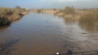 Büyük Menderes Nehri yine taştı; Köşk ilçesinde tarım alanlarını su bastı