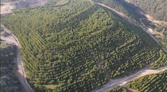 Maden sahası rehabilitasyonla yeşerdi