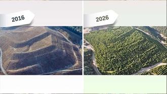 Maden sahası rehabilitasyonla yeşerdi