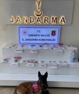 Osmaniye’de jandarma son bir haftada 102 şüpheliyi yakaladı