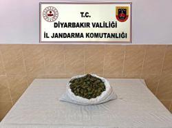 Diyarbakır’da uyuşturucu operasyonlarında 24 tutuklama