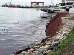 Tekirdağ'da deniz kıyıları kırmızı renge büründü