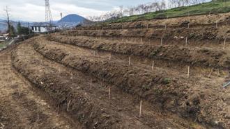 Ordu’da fındıkta yeni sistem ile dönüm başına 350 kilo ürün hedefleniyor