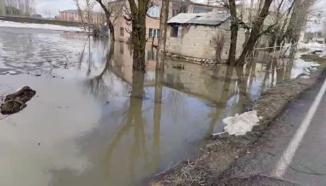 Muş’ta sağanak nedeniyle ev ve ahırları su bastı