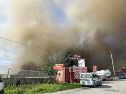 Sakarya'da şekerleme fabrikasında yangın