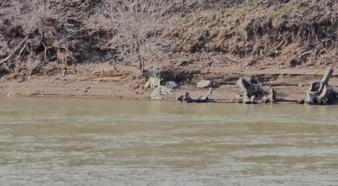 Bingöl’de tilkinin balık avı kamerada