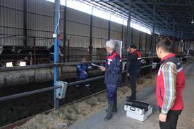 Şap hastalığına karşı saha çalışması