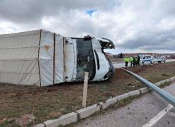 Büyükbaş yüklü kamyonet devrildi; 3 yaralı