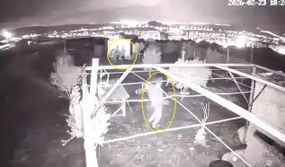 Osmaniye’de güvercin hırsızlığı kamerada
