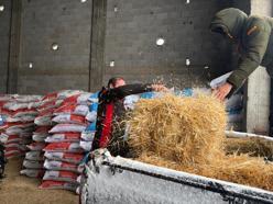 TIR'larda mahsur kalan 200 büyükbaşa yem desteği