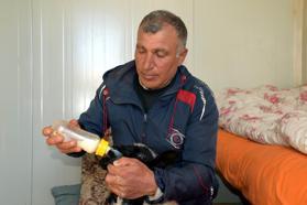 Annesi ölen 20 günlük kuzuyu evinde biberonla besliyor