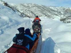 Ovacık’ta 1 metreyi bulan karda sağlık seferberliği